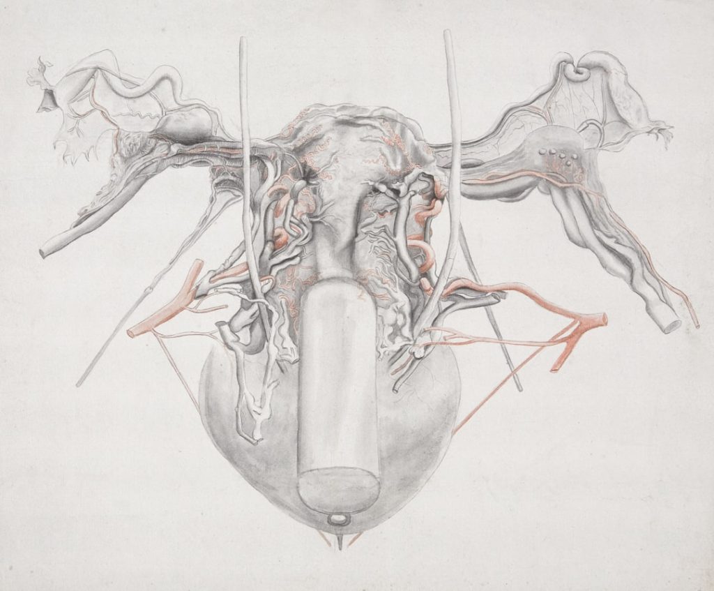 Laparoscopic vs Open Gallbladder Surgery in Dhaka: Why Minimally Invasive is Better?