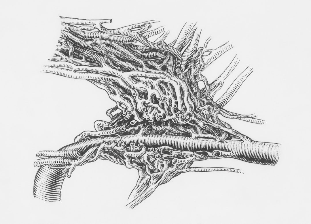 Photo Gallbladder Infection
