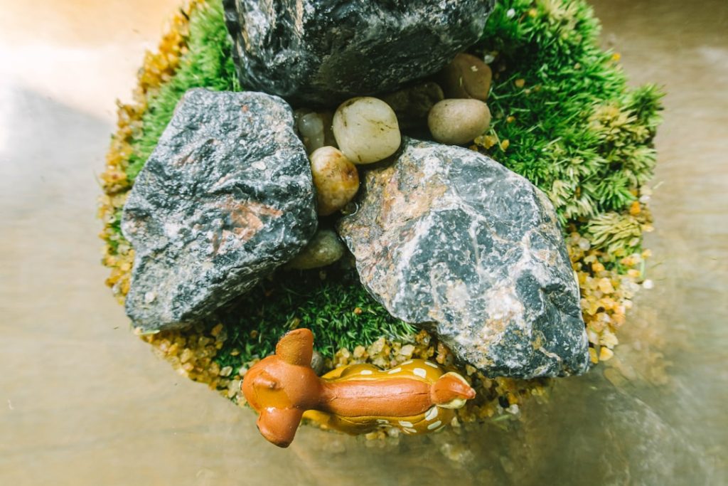 Gallbladder Stones: Diagnostic Workup, Indications for Surgery, and Treatment Outcomes